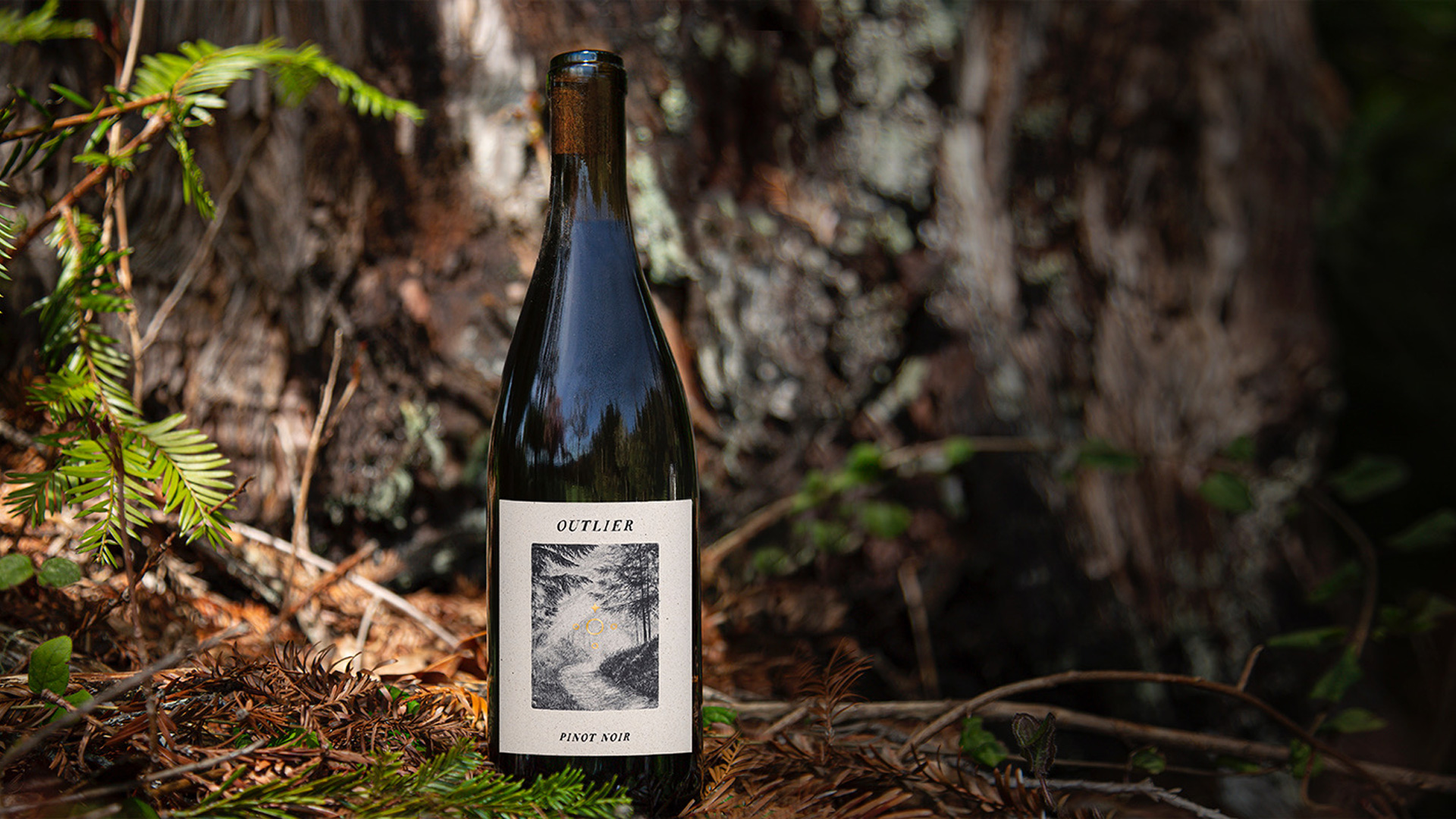 Outlier Wine Co.